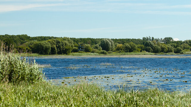 A summer landscape featuring a river with its banks and a blue sky