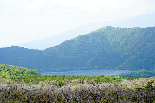 箱根の芦ノ湖と周囲を取り囲む緑豊かな山々の絶景。手前には枯れた低木が広がり、季節の移ろいを感じさせる初夏の美しいパノラマ風景。