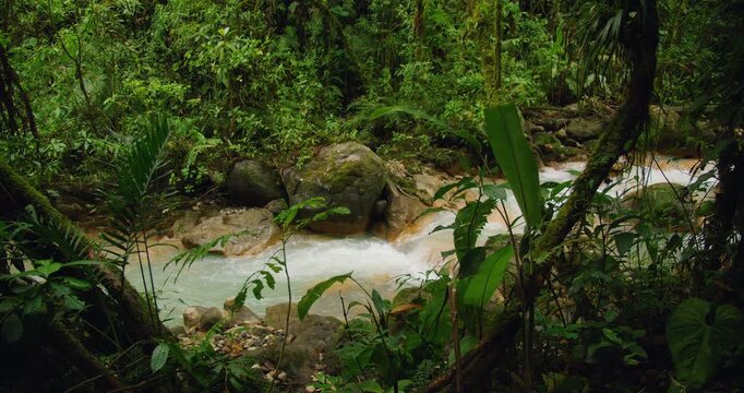 Fast flowing blue river in lush Costa Rica rainforest showing vibrant tropical nature