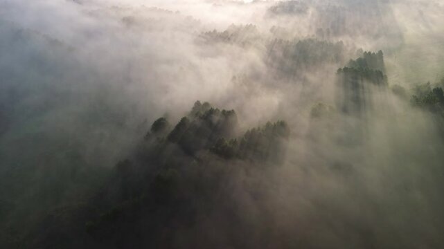 Atmospheric aerial cinematic view of epic foggy nature scener