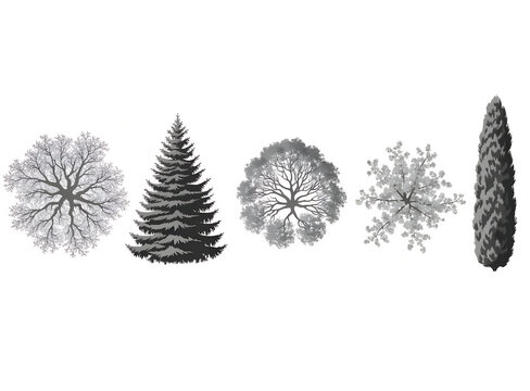 Architectural Landscape Trees Set in Top View and Side View Silhouette Engraving