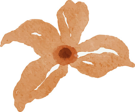 Watercolor illustration of a single orange flower with a dark center isolated on a white background delicate petals botanical art style.