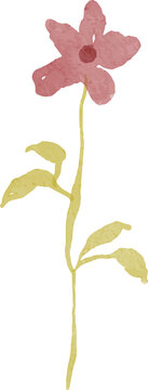Delicate watercolor illustration of a single red flower with yellow leaves and stem isolated on white background