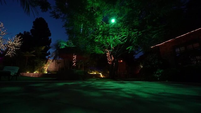 Low angle view of a green-lit tree in a backyard garden at dusk