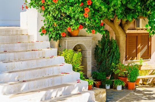 Cretan courtyard garden with plants and traditional architecture Crete Greece
