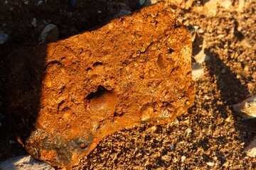 Fototapeta premium Ancient brachiopod fossil embedded in a rusty flint stone, illuminated by warm sunset golden light discovered in an open limestone quarry, close-up geological macro shot