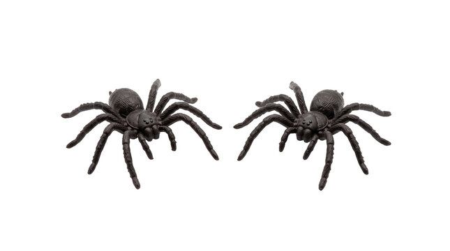 Two Black Toy Spiders Facing Each Other PNG Isolated on transparent background