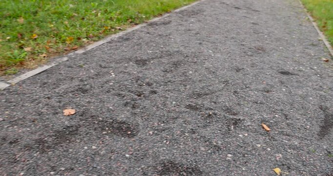 Grey gravel of a garden path next to the lawn, small bulk gravel forms a smooth surface of a pedestrian zone in a city recreation park, next