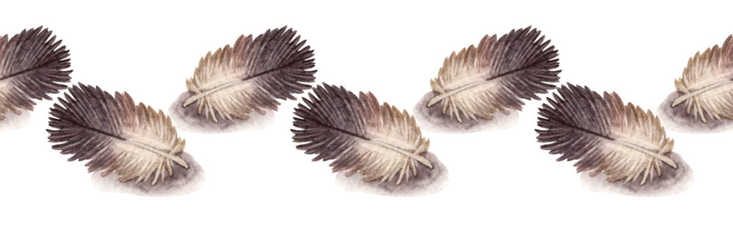 Watercolor seamless border with black and gray bird dove's feather on white background. Hand-drawn plume with shadow. Wildlife art. Rim for sticker wallpaper or wrapping. Celebration wedding invite