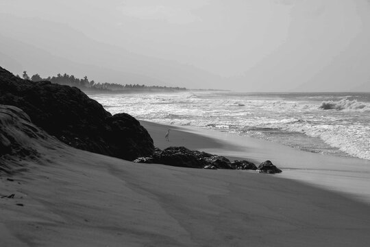 Photo of the beach with a bird on the sand near the ocean waves