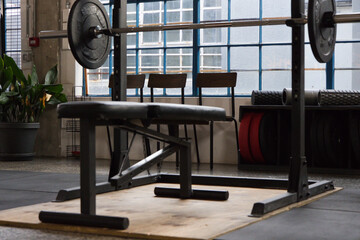 Adjustable bench sitting centered on wooden lifting platform with racked barbell and red plates © WavebreakMediaMicro