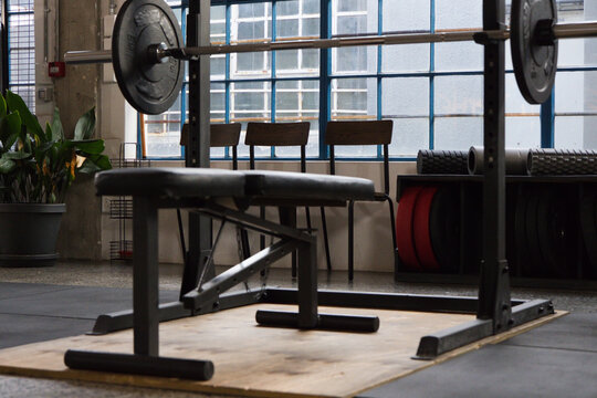 Adjustable bench sitting centered on wooden lifting platform with racked barbell and red plates