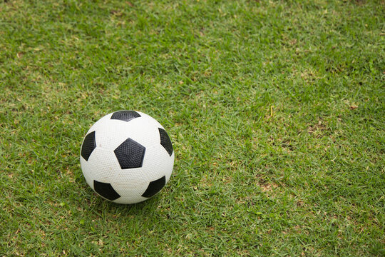 Black-and-white soccer ball is resting on short green grass under soft directional sunlight