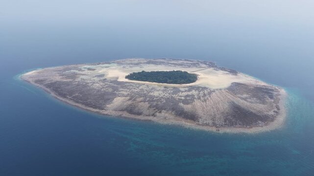 The remote Sangalaki Island is surrounded by a thriving coral reef in the scenic Derawan Archipelago of East Kalimantan, Indonesia. This area harbors extraordinary marine biodiversity.