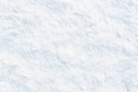 Fresh Winter Snow Texture Covering the Ground