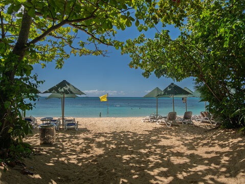 Tropical Beach Nestles amongst The Vegetation