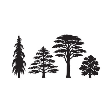 Forest Tree Silhouette Set &ndash; Pine Fir Cedar Acacia and Oak Botanical Collection