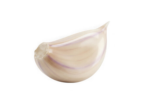 Single clove of fresh garlic isolated on transparent background
