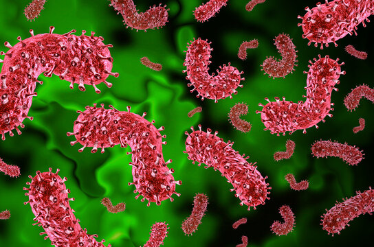 Human Rabies Outbreak disease as microscopic virus spreading through bites of infected animals.