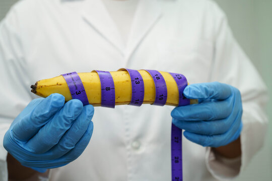 Doctor holding a banana with measuring tape, penis health.