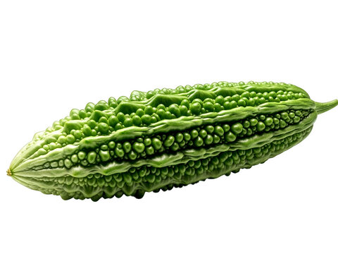 Fresh bitter melon vegetable isolated on transparent background