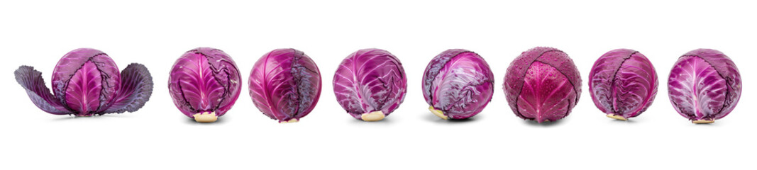 Fototapeta premium Collection of purple cabbage heads are arranged on a transparent background. The cabbage heads display a gradient of color