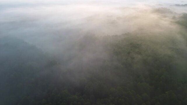 Atmospheric aerial cinematic view of epic foggy nature scener