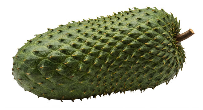 Soursop fruit isolated on transparent background for culinary and healthy eating design.