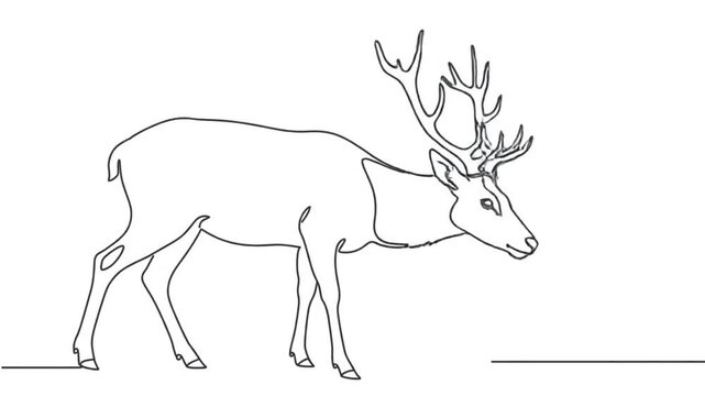 Deer with large antlers rendered in a continuous single line art style against a plain white background.