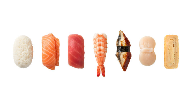 Row of assorted nigiri sushi topped with fresh seafood and tamago
