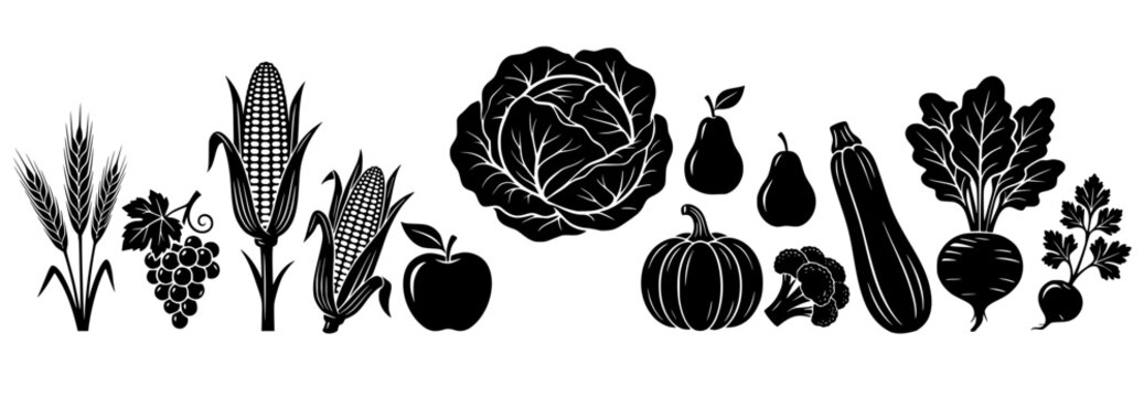 Set of vegetables and fruits silhouette illustration including corn, cabbage, pumpkin, grapes and pear, flat vector icons for harvest and organic food concepts.