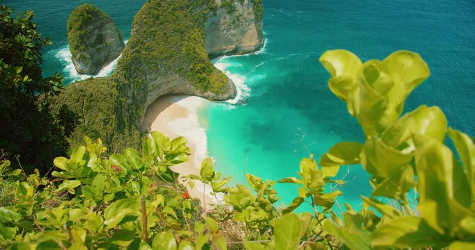 Lush greenery frames the scenic Kelingking Beach on Nusa Penida Island Bali