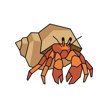 Hermit crab in shell, isolated, cartoon style