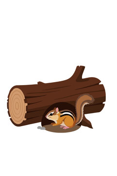 A charming flat design vector icon of an adorable striped chipmunk sitting at its burrow entrance beneath a textured fallen brown log with growth rings isolated on white background illustration