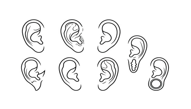 Human ear vector collection featuring black line art icons of various shapes anatomy piericngs and stretched earlobes