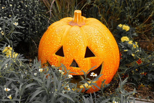 Orange jack-o'-lantern decoration among autumn garden flowers
