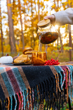Transparent teapot pouring hot autumn tea into glass cup with fresh orange slices during outdoor picnic. Traditional bagels and red viburnum berries rest beside drink on rustic table, while golden