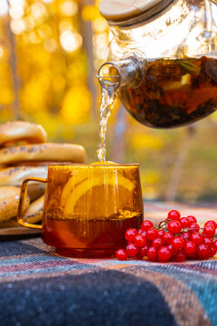 Transparent teapot pouring hot autumn tea into glass cup with fresh orange slices during outdoor picnic. Traditional bagels and red viburnum berries rest beside drink on rustic table, while golden