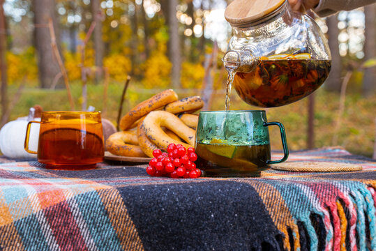 Transparent teapot pouring hot autumn tea into glass cup with fresh orange slices during outdoor picnic. Traditional bagels and red viburnum berries rest beside drink on rustic table, while golden
