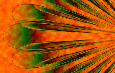 Close-up of colorful fish scales under water © MST Nasrin Begum