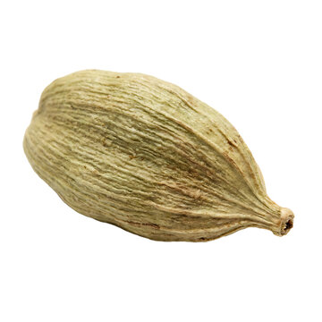 Grains Paradise Seed Pod Isolated On Transparent Background