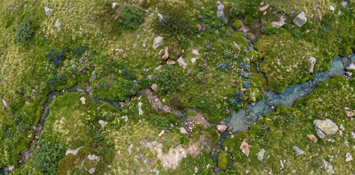 Aerial view of a winding mountain stream flowing through a lush green alpine meadow with scattered grey rocks, wildflowers, and patches of mossy grass in a high-altitude landscape