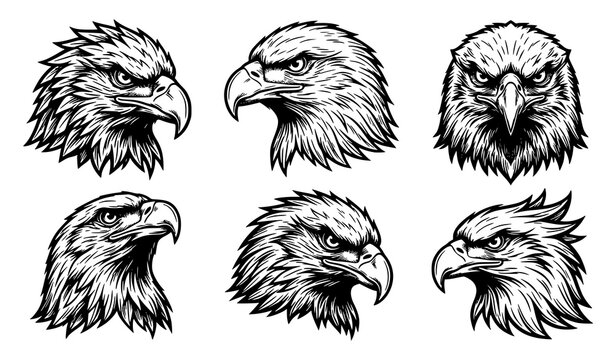 Eagle head vector logo collection, hand drawn bald eagle mascot icons for sports team branding and tattoo design set