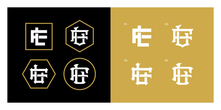 Elegant interlocking lettermark LF or FL logo collection for luxury brand identity