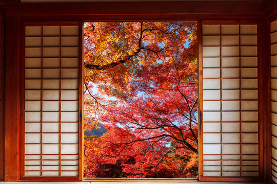 Beautiful autumn garden view through traditional Japanese Shoji sliding doors in a Zen temple, Kyoto