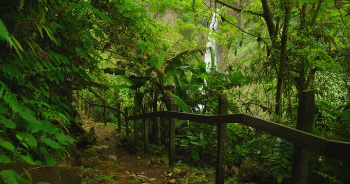 Steep dirt path with rustic wooden handrail leading down to Catarata del Toro waterfall view jungle in Costa Rica