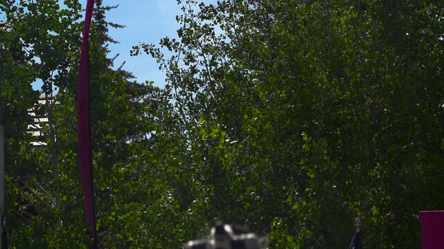 Slow motion shot of dog jumping to bite hanging toy out of the air