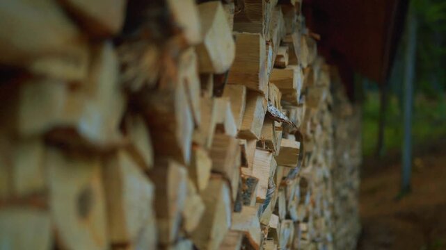 Side view shot of neatly stacked split firewood pile in countryside yard, shallow depth of field, natural wooden timber stock for winter heating, fireplace, and rustic background