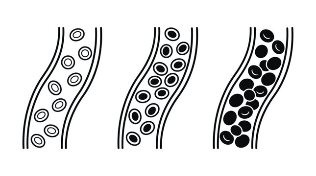 Blood circulation vessel and cell illustration. Medical anatomy design featuring blood cells inside a tubular vessel for cardiovascular health, biology, physiology, healthcare, and science education.