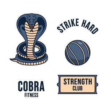 Cobra Fitness Logo and Strength Club Badge.